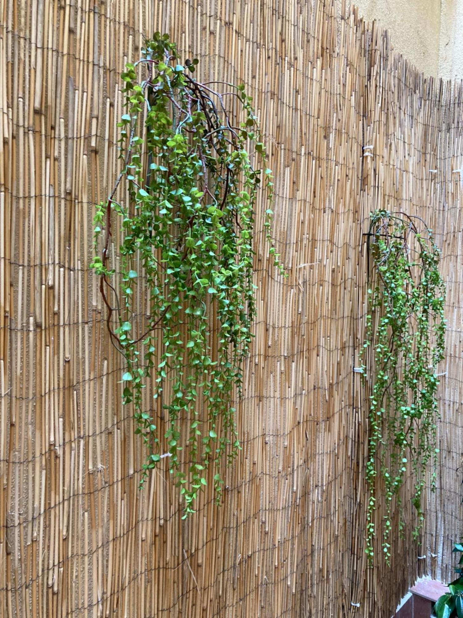 Ferienwohnung Mon Art Logroño Exterior foto